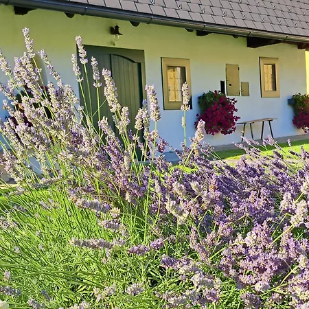 Vakantiehuis Kauschlerhof