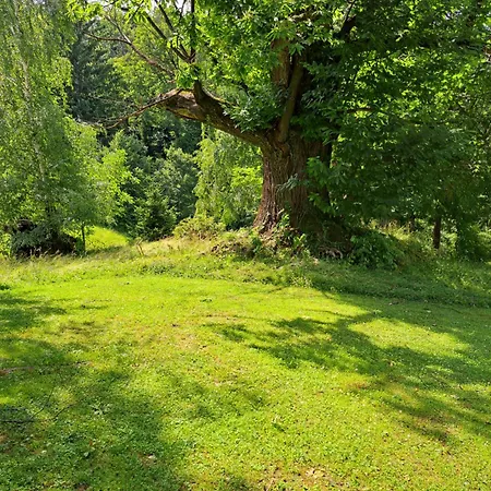 Kauschlerhof Vakantiehuis Leutschach