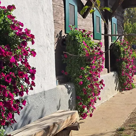 Kauschlerhof Leutschach