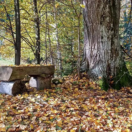 Semesterbostad Kauschlerhof *