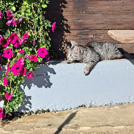 Vakantiehuis Kauschlerhof