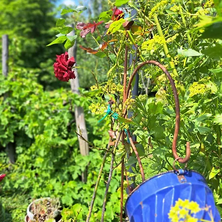 Kauschlerhof Leutschach