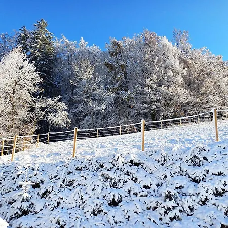 Vakantiehuis Kauschlerhof Leutschach