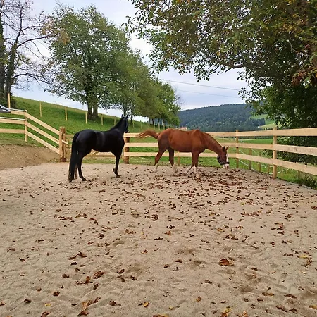 Kauschlerhof Vakantiehuis