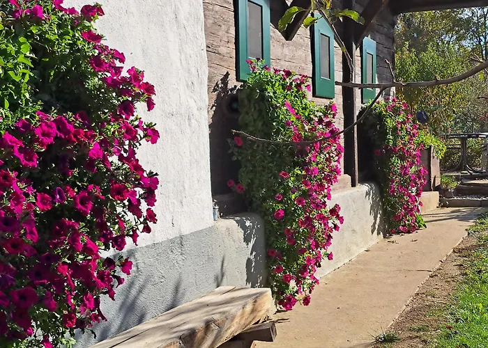 Kauschlerhof ليوتسشاخ