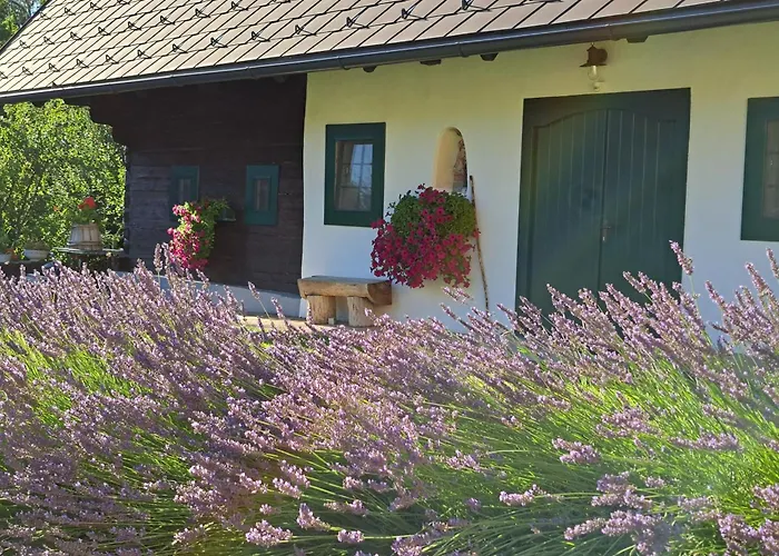 Kauschlerhof بيت للعطل *