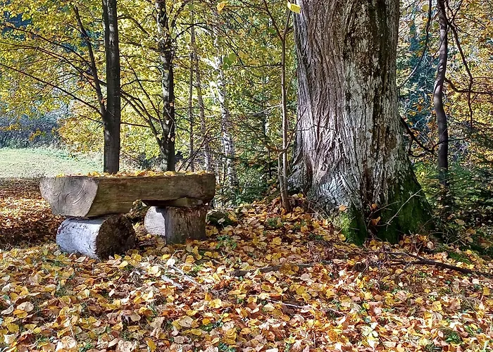 بيت للعطل Kauschlerhof *