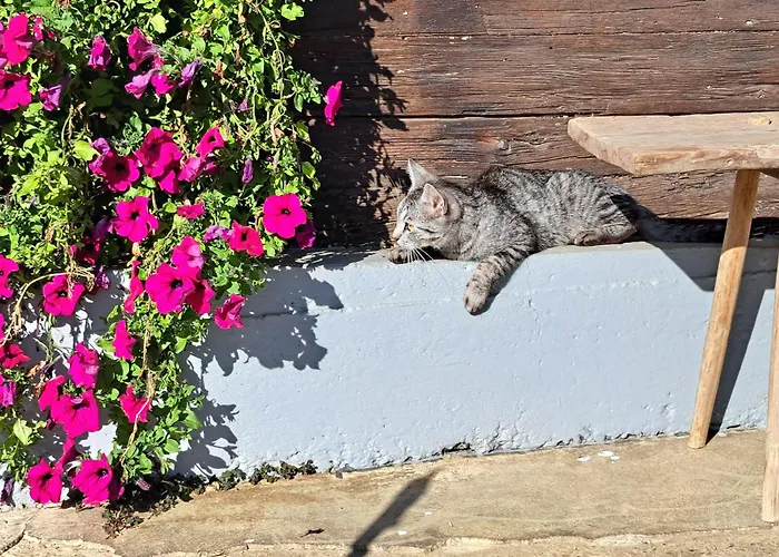 بيت للعطل Kauschlerhof