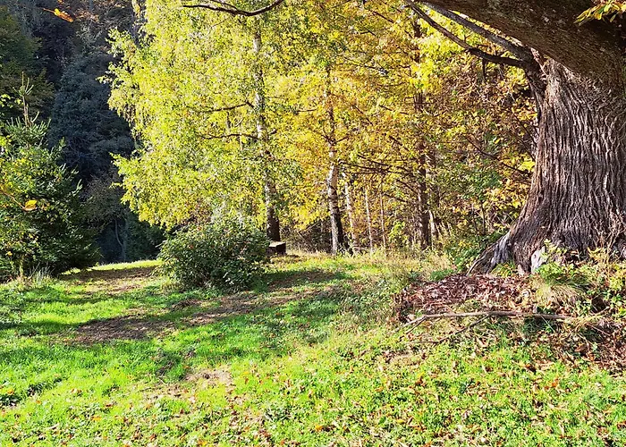 بيت للعطل Kauschlerhof ليوتسشاخ