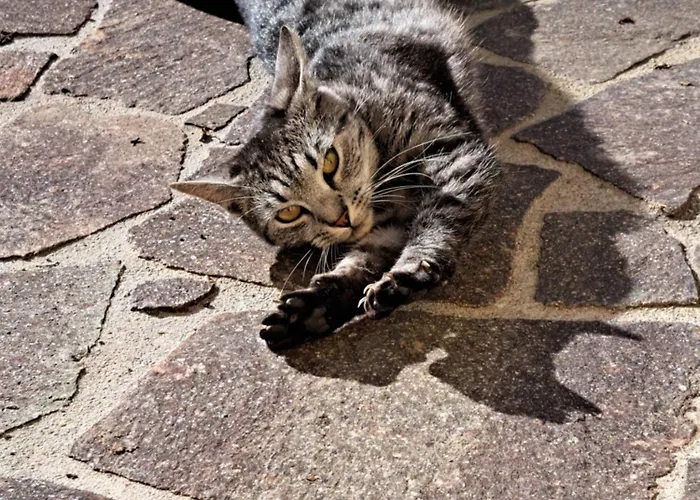 بيت للعطل Kauschlerhof *