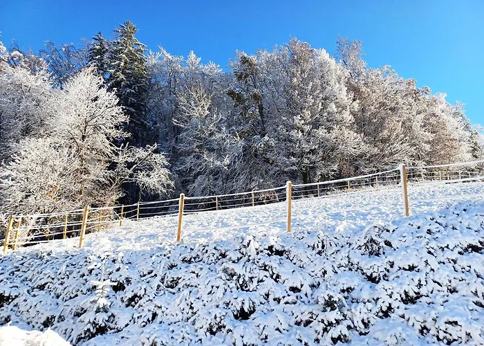 بيت للعطل Kauschlerhof ليوتسشاخ