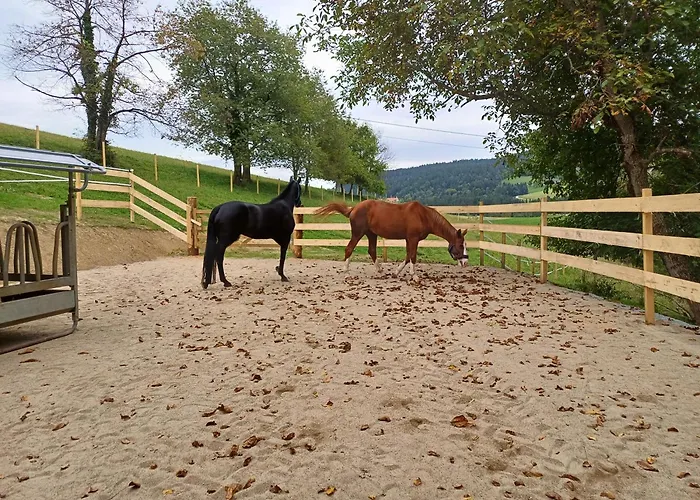 Kauschlerhof بيت للعطل